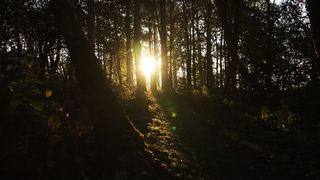 "Breathe Deep: A Video Getaway to Reconnect with the Purity of Nature"