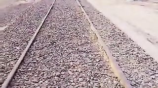 Train Arriving on my Local Railway Station