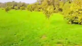 Visiting the Orange gardens of my village
