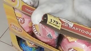 Кому чипсик?