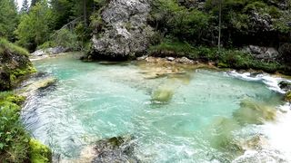 "Nature's Lullaby: A Tranquil Escape into the Heart of Wilderness"