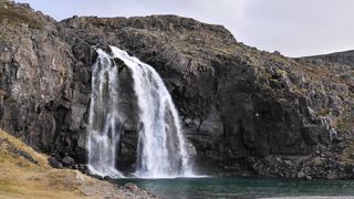 "Eco Euphoria: Discovering Bliss in the Beauty of Nature"