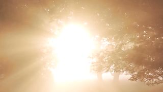 "Earth's Ballet: Graceful Movements in the Symphony of Life"