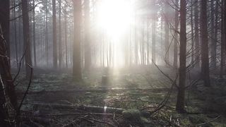 "Pristine Perspectives: A Cinematic Journey Through Nature's Purest Scenes"