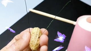Peanut craft