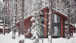 a beautiful winter forest, a fairy tale