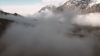 "Eternal Echoes: Resonating with the Timeless Beauty of Nature"
