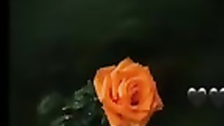 نبی پاک نے فرمایا کہ قیامت کے دن ان لوگوں کی سفارش نہیں کروں گا Pir Ajmal ra_144p.