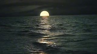 الهدوء واابحر