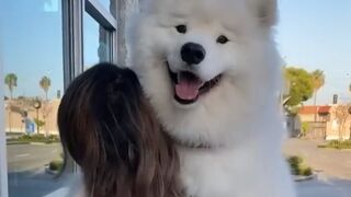 Cute Dog Becoming Best Friends