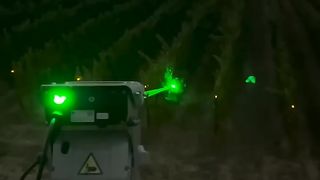 Mengusir Burung Menggunakan Laser Canggih