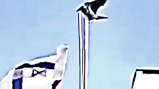 Guerre 3