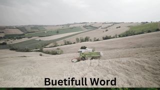 Buetiful Word Nice Location, 3
