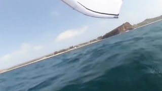 Wing Surfer vs Whale