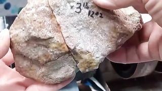 Nice Stone