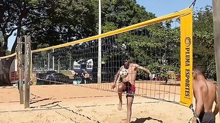 A dog plays beach volleyball