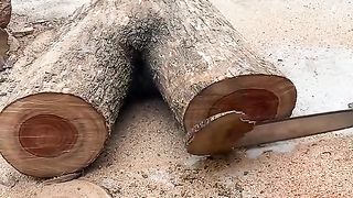 Amazing videos vol 21