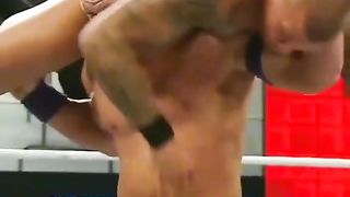 WWE реслинг 610