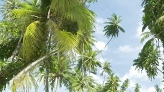 amazing ! seperti lukisan wajah manusia