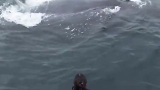 Amazing videos vol 25