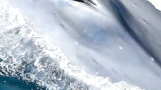 Amazing videos vol 28