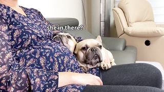 My Dogs Fall In Love With Our Baby | The Full Story 2