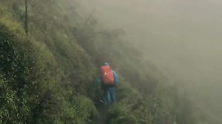 Di dalam hutan yang sunyi