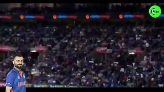 Cricket news 2
