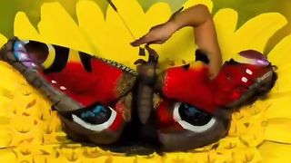 Animal World Body Paint