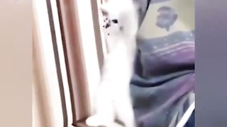 Новогоднее настроение 2