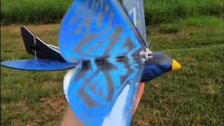 #Jet #Mayrcplane #Aircraft #Jet #Maybay #Shorts. Upload