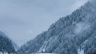 Amazing video 166