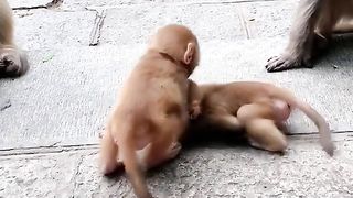 playing together is fun