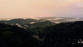 "Nature's Canvas: Painting with Earth's Colors"