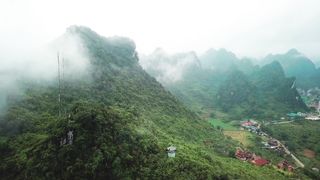 "Whispers of the Wild: Nature's Silent Stories"