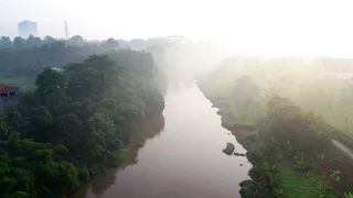"Sustainable Symphony: Nurturing Nature's Melody"