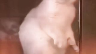 The cute cat is fun to play with
