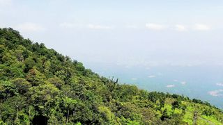 "Whispers of Wilderness: An Intimate Conversation with the Outdoors"