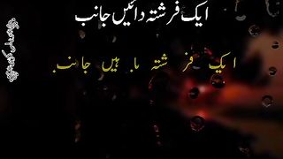 Insan kitna beitebaar