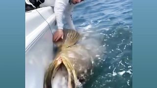 BIGFISH
