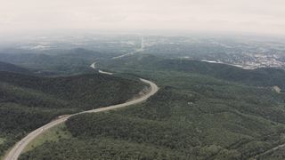 "Ephemeral Elegance: A Time-Lapse Tribute to Nature's Transient Beauty"