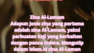 Zina al-lamam