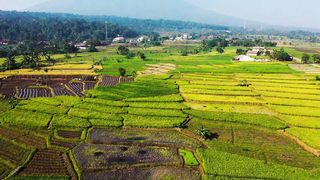 "Earth's Euphony: Harmonizing with the Sounds of Nature"