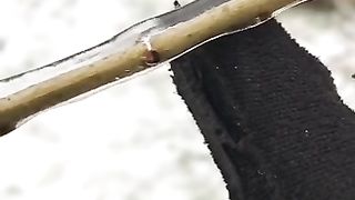Аномальная погода в Припяти. Anomaly weather in Pripyat