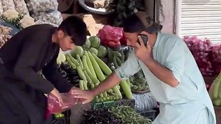 Funny Video 217