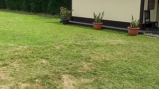 Makan Siang di Ampera