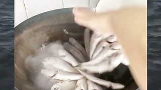 Amazing videos vol 31