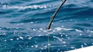 Mastering the Art of Catching Giant Fish: Proven Strategies for Big Game Fishing"