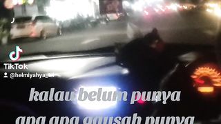 Kehidupan 11