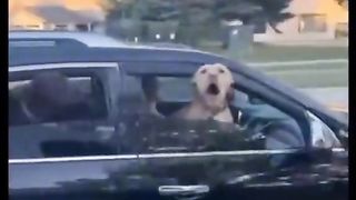 Приколи 647